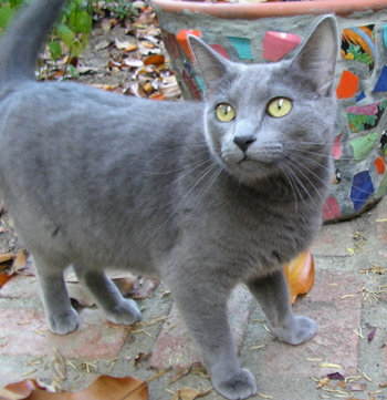 Nella_in_the_garden_2