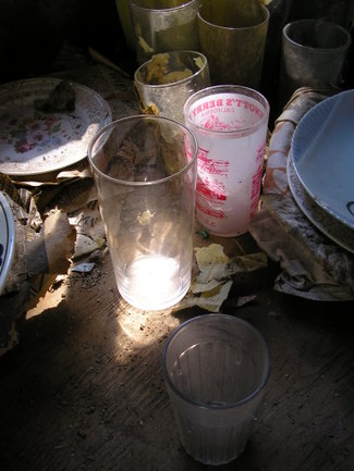 Just_a_little_sunlight