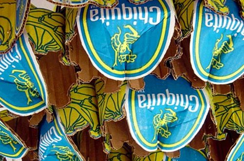 Annekejacobs_chiquita02