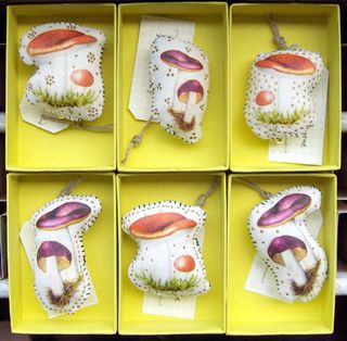 Lyndiedourthechampignon