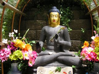 Buddha