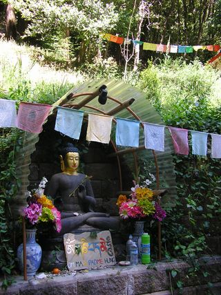 Buddha1 (3)