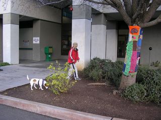 Walking wiley by library