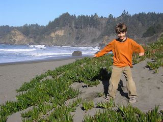 3197582834_ccd1475ae7_z