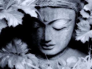 5ba115de4f4aadd366d364707f84ac84