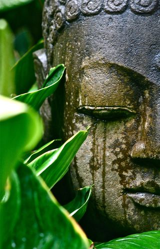 Be393b5cd08492447c3baabf839146e1