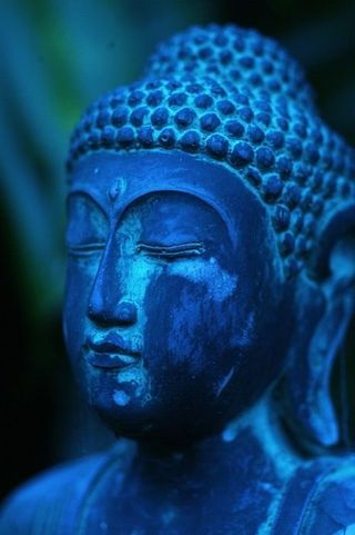 86028b5d01cfab2e9db1d04d51c6c49b