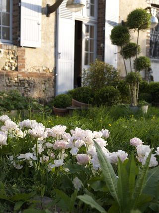 Claire-Basler-Flower-Garden