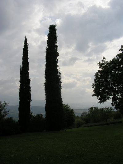 La Foce (58)